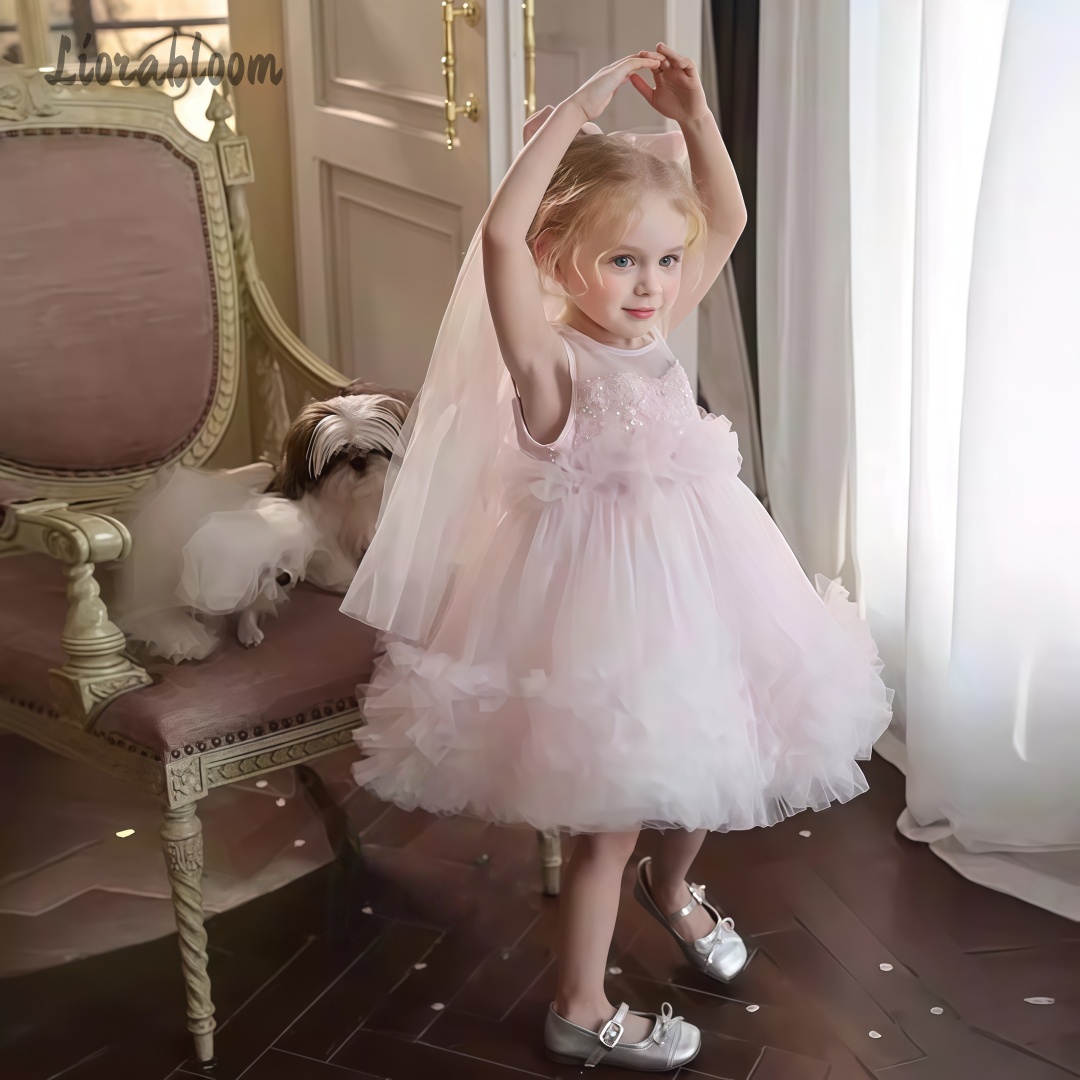 Girls' Tulle Gown Layered Skir - Women'S Formal Wear For A Wedding ulasan dan harga
